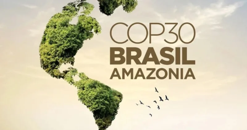 Бразилия спорила Баку делал