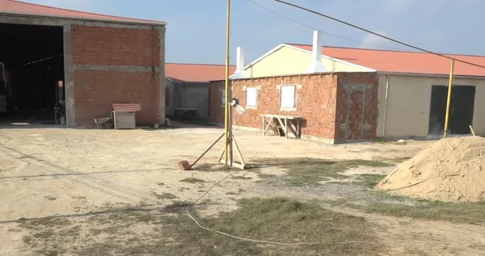 Невыносимый аромат соседства: как птицеферма отравляет жизнь жителям бакинского поселка