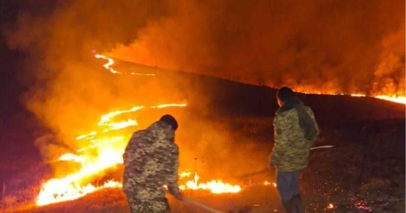 Вертолеты в Армении пытаются потушить лесной пожар ВИДЕО