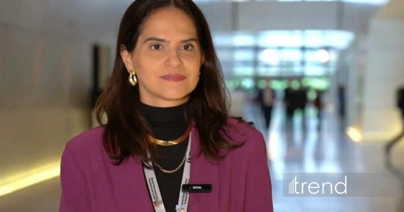 Бразилия рассматривает подписание меморандума с Азербайджаном о цифровом сотрудничестве (Эксклюзив)