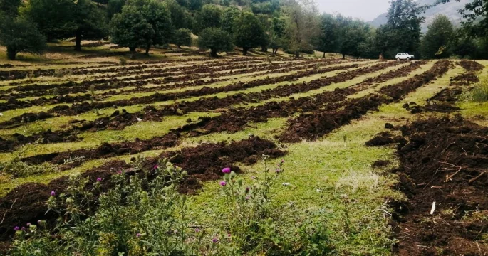 Əkin mövsümü bitir: real vəziyyət problem və perspektivlər nədən ibarətdir?
