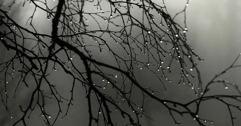 Səhər bəzi yerlərdə zəif duman, çiskin olacaq Proqnoz