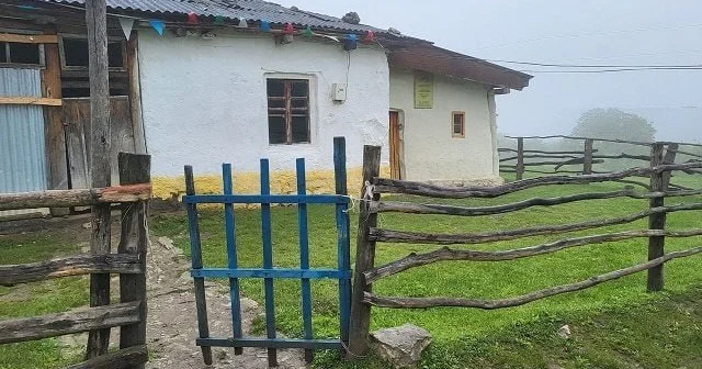 Ən çox bu rayonlardakı məktəblər bağlanıb RƏSMİ