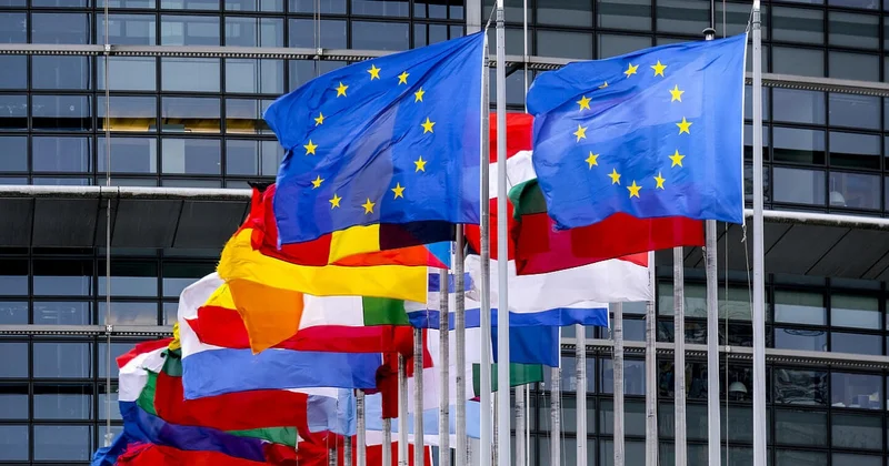 Gürcüstan XİN rəhbəri: Aİ nin gürcülər üçün vizasız səyahəti ləğv etməsi səhv olar