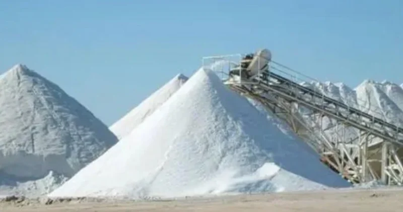 Naxçıvandakı duz istehsalı müəssisəsində texniki müayinə aparılacaq