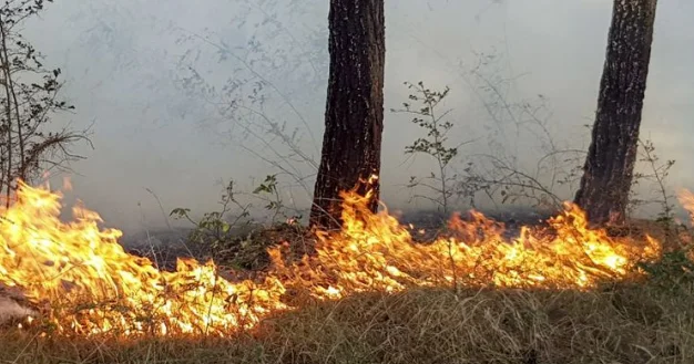 Ermənistanda böyük yanğın yayılır: Çağırışlara vaxtında cavab verilməyib