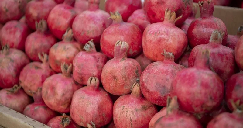 Nar ixracı 25 faiz artdı