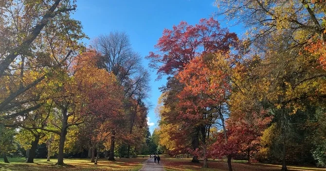 Duman, çiskin... Sabahın hava proqnozu
