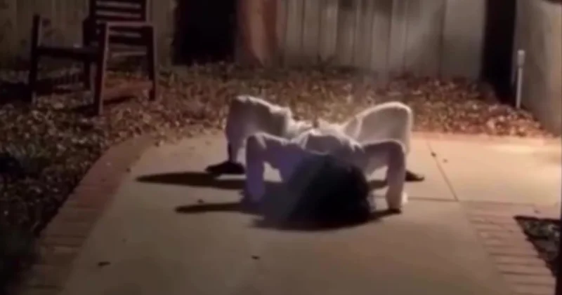 Инженер создал робота, от которого идут мурашки по коже ВИДЕО