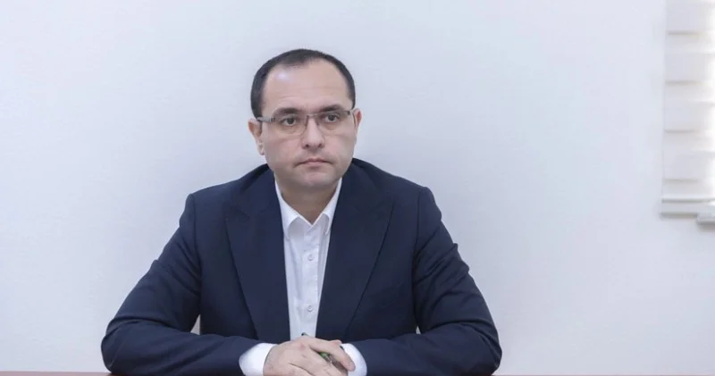 Məcnun Məmmədov Gürcüstanda rəsmi səfərdədir