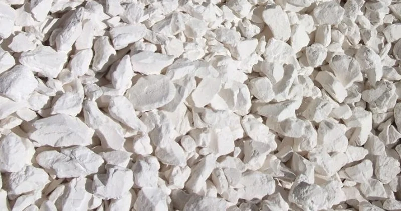 Türkan 1 yatağında qanunsuz istismar Dövlətə 7224 manat ziyan dəyib