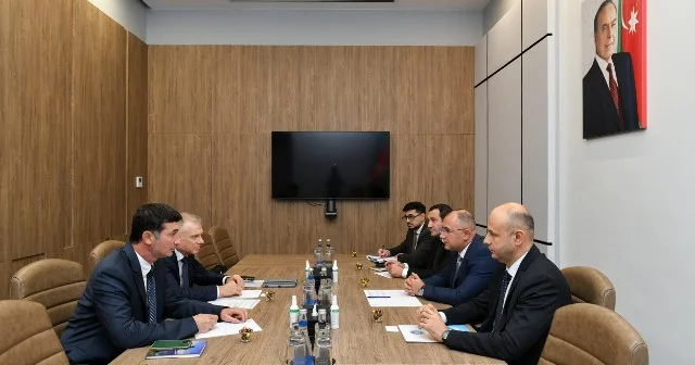 RİNN də Beynəlxalq Əmək Təşkilatı ilə görüş keçirilib FOTOLAR