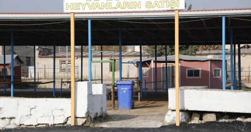 Heyvan bazarlarında rekonstruksiya işləri nə yerdədir? VİDEO