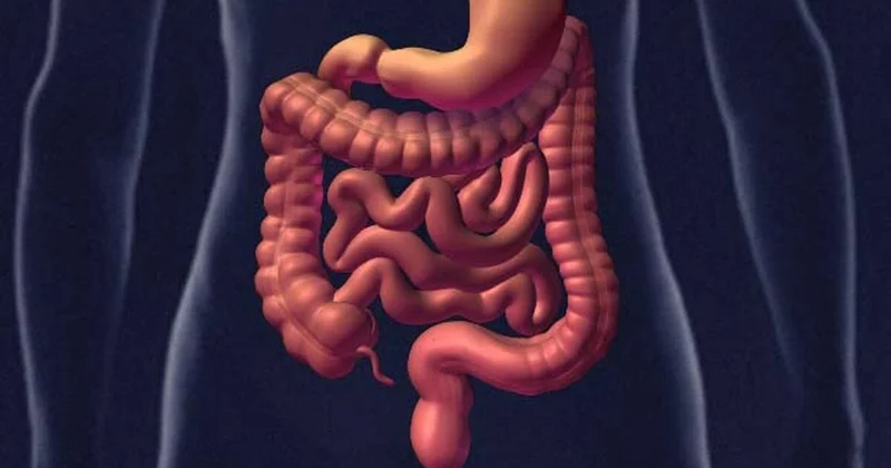 Bağirsaq xəstəliklərini kolonoskopiyasız aşkarlayan yeni texnologiya