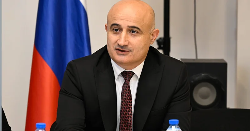 Direktor itlərə görə cərimələndi