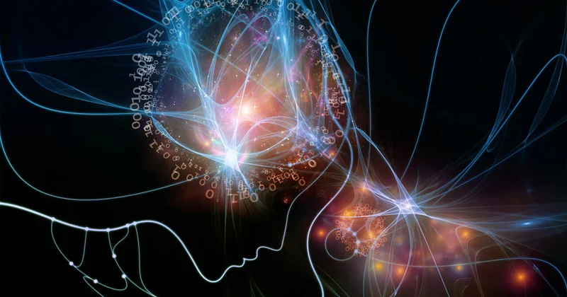 Сознание возникло раньше времени и пространства, заявила ученая