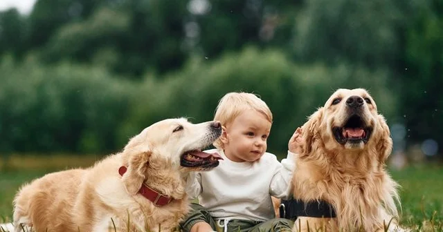 Выяснилось, что собаки и люди делят гены, отвечающие за тревожность