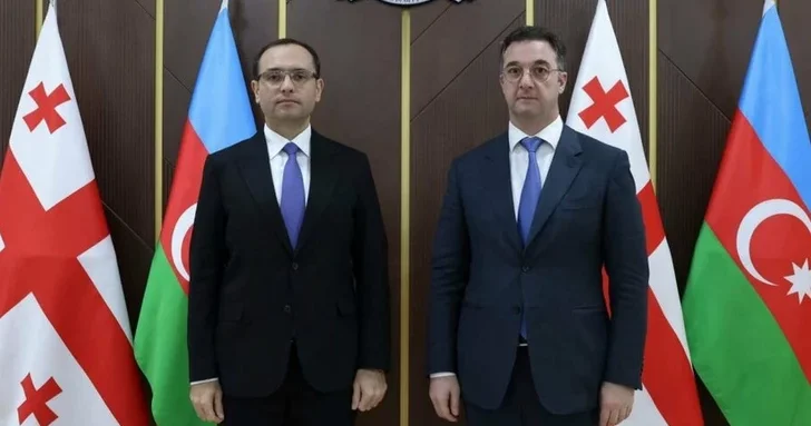 Грузия и Азербайджан объединяют усилия для развития сельского хозяйства: создана рабочая группа
