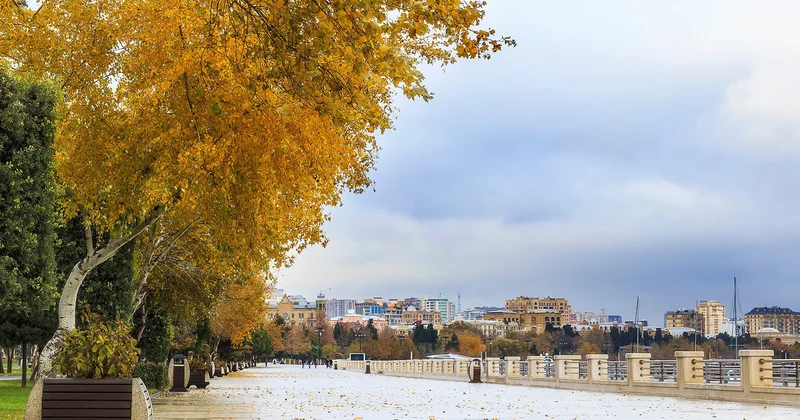 Теплая погода сохранится в Азербайджане и в начале декабря