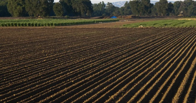 Cəlilabad sakini torpağı özüşumlayan qurğu ixtira etdi FOTO