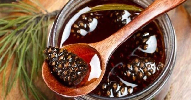 Şam qozası bəhməzinin faydaları nələrdir?