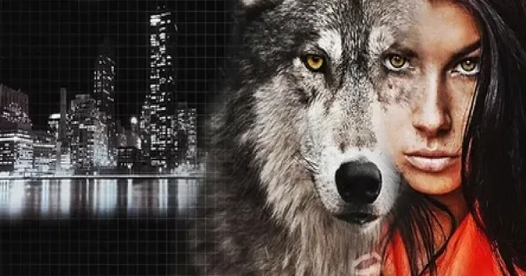 Tənha canavarlar kimi... müdrik doğum tarixləri