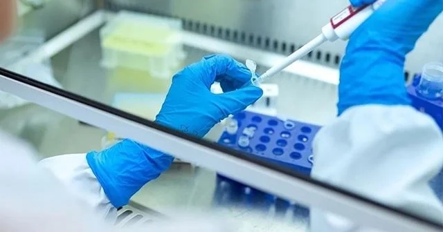 Qan testi ilə xərçəngin aşkarlanmasında ümidverici YENİLİK