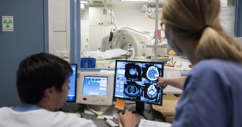 İnsan beyni 32 yaşda “böyük“ mərhələsinə keçir ARAŞDIRMA