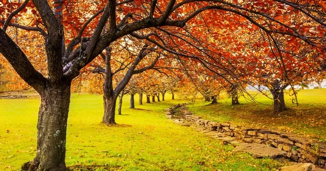 Azərbaycanda noyabrda havaların mülayim keçməsinin səbəbi açıqlanıb