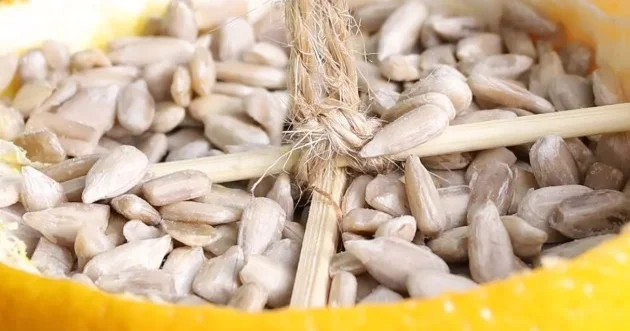 Toxumu suyundan faydalıdır: Hər gün için, xərçəng riskini azaldır