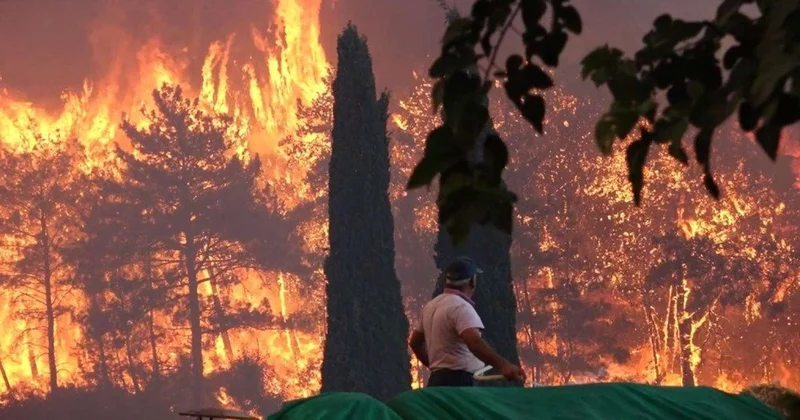 Güney Azərbaycanın Qaradağ bölgəsində meşə yanğını yenidən alovlandı.