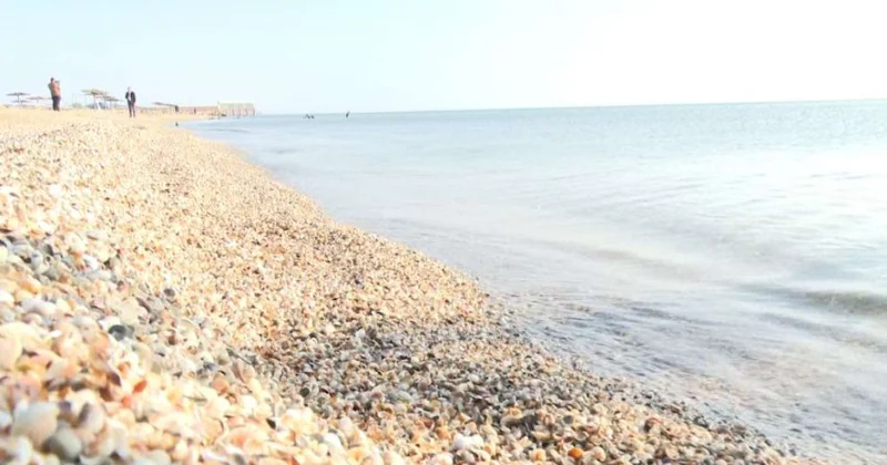 Körpəsini dənizə atan qadınla bağlı təfərrüat Ata anası xəstədir