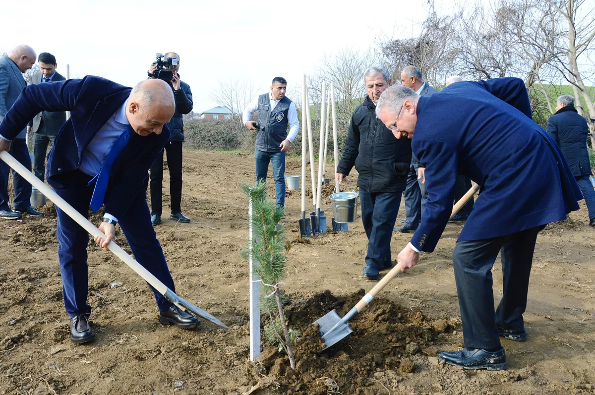 Yaşıllığın daha bir ünvanı: