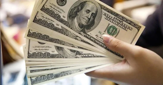 Nağd dollar alışı rekord həddə çatdı STATİSTİKA