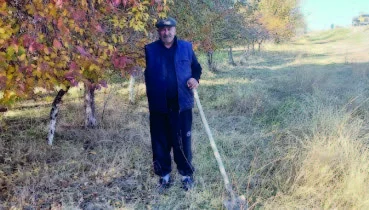 Böyükdüzlü bağbanın “yaşıl əsər”i