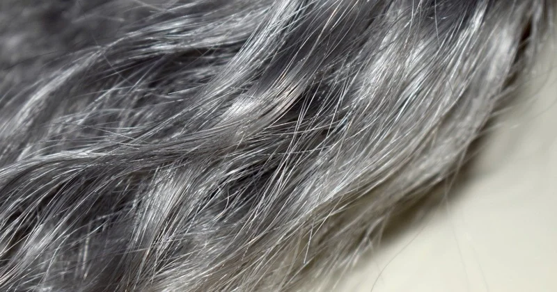 Vaxtından əvvəl saçların ağarması Bərpa etmək olarmı?