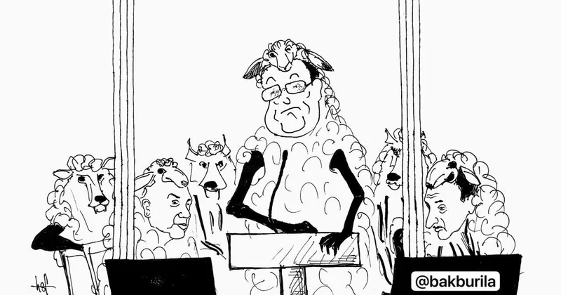 "Невинные овечки" ждут приговора