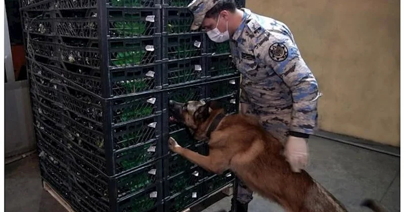 Gömrükdə 150 kiloqrama yaxın narkotik aşkarlandı İrandan Rusiyaya gedirmiş...