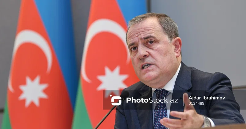 Nazir: David Babayanın Qərb paytaxtlarını rahat ziyarət etməsi üçün ona 10 illik viza verilmişdi