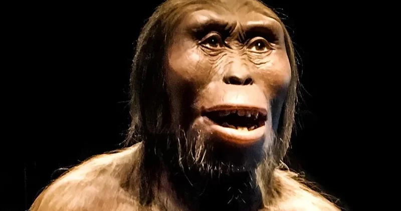 Tarixi dəyişdirən kəşf: İnsanlığın itmiş halqası Lusi taxtından enir?