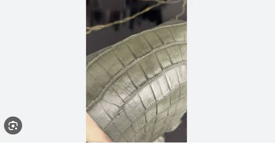 Çindən gələn sərnişinin çamadanlarından timsah dəriləri çıxdı