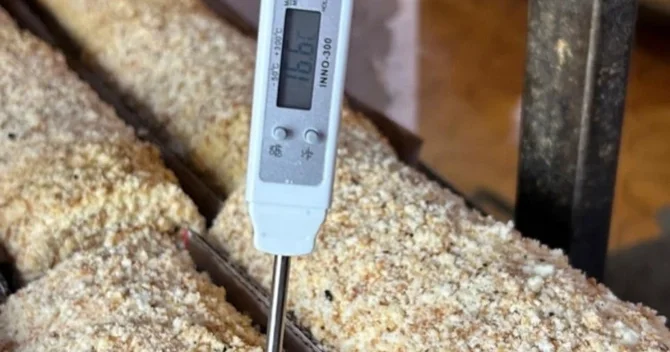 Sumqayıtda Banu şirniyyat sexində ciddi nöqsanlar aşkarlandı, sahibi cərimələndi