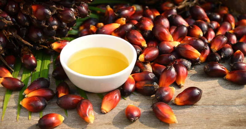 Почему надо покупать продукты без пальмового масла к Новому году?