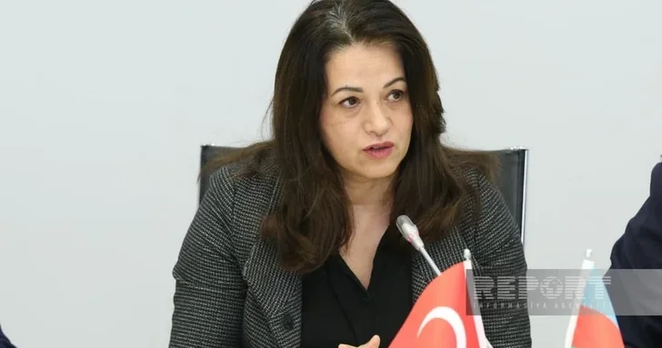 Гюлизар Яваш: Турция создает уникальные условия для продукции из освобожденных территорий АР