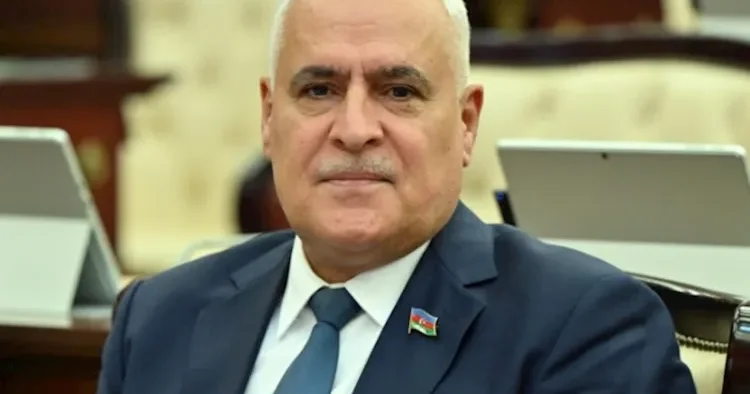 Kimin kimdən xoşu gəlmirsə, TikTok da təhqir edir Deputat