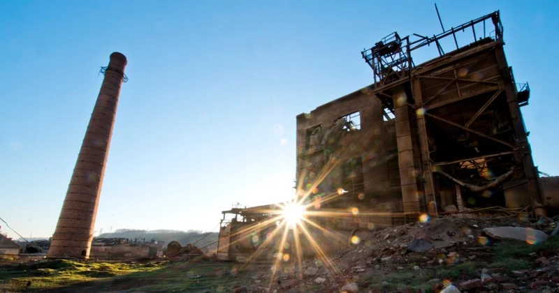 İstifadəsiz qalan zavod və anbarlar kimə veriləcək? TƏKLİF