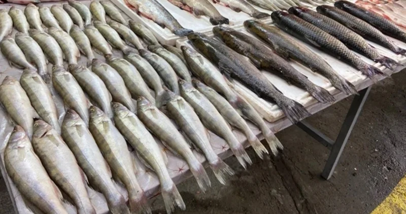 Yeni il süfrəsində balıq yemək lüksə çevrildi Qiymətlər necədir?