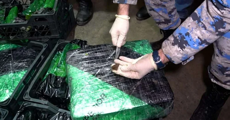 Крупный улов на Астаринской таможне фото; видео