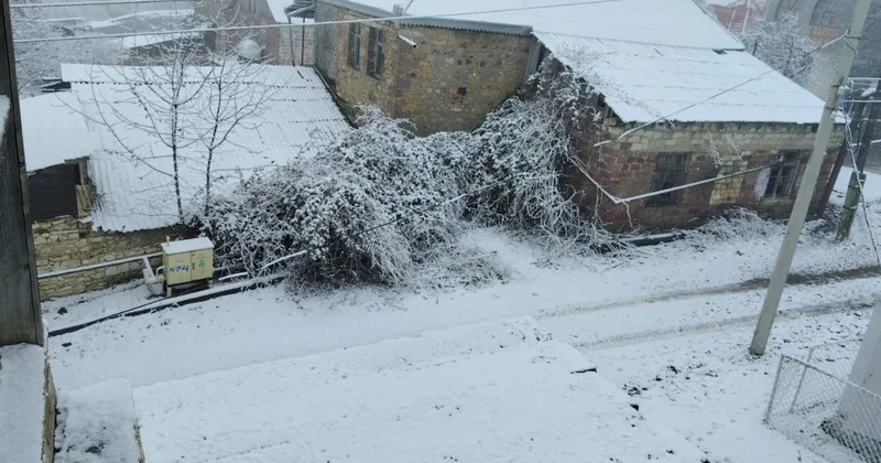 Qərb bölgəsinə ilk qar yağdı