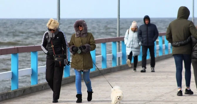 Tez düşün, tez qərar ver... İnsanlar hara tələsir?